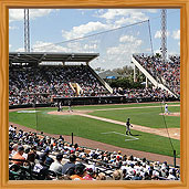 38 Tigers spring training ballpark photos